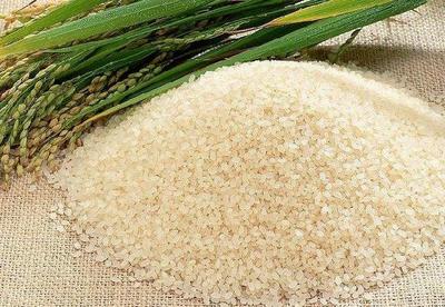 今年水稻价格全面下调,农民朋友怎么办?